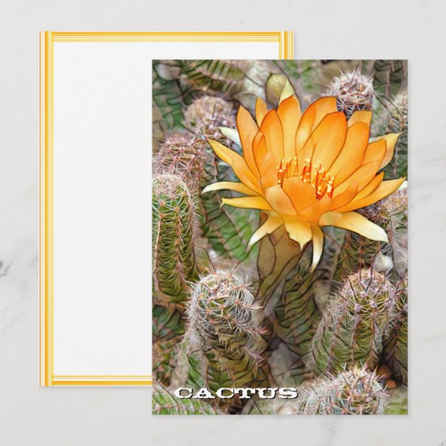 Cactus: Flat Card (Frente/Verso)