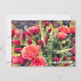 Cactus: Flat Card
