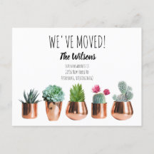Cactus, mudamos o novo anúncio de mudança de casa