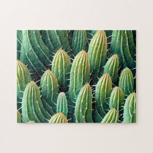 Cactus - Padrão 1 O quebra-cabeça do Daily Jigsert