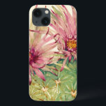 Cactus Pink Blossoms<br><div class="desc">Cactus Pink Blossoms Artista: Tim OToole</div>