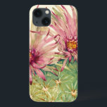 Cactus Pink Blossoms<br><div class="desc">Cactus Pink Blossoms Artista: Tim OToole</div>
