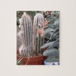 Cactus Quebra-cabeça