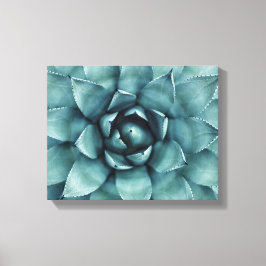 Cactus Succulus Cactos Canvas Art