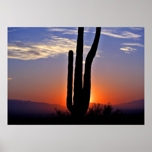 Cactus Sunset Poster (Frente)