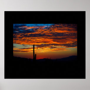 Cactus Sunset Poster