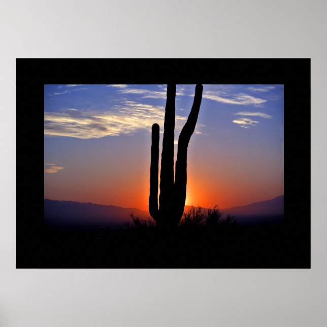 Cactus Sunset Poster (Frente)
