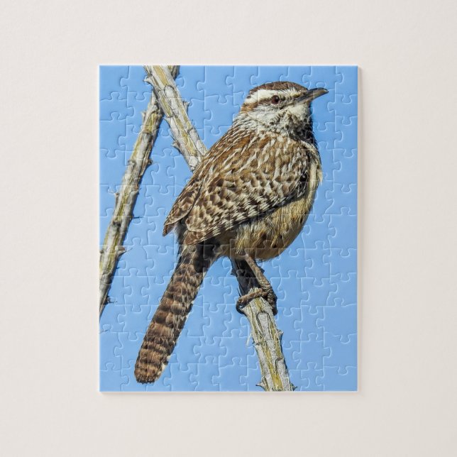 Cactus Wren Quebra-cabeça (Vertical)