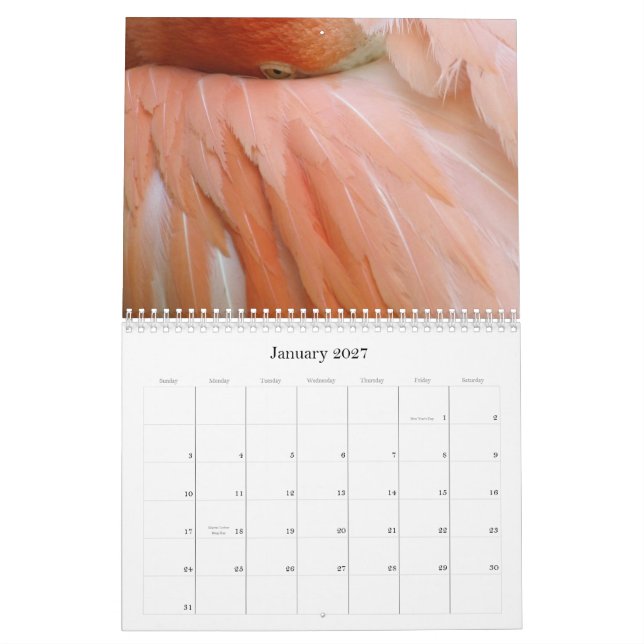 "Cada dia é calendário de sexta-feira do flamingo" (Jan 2027)