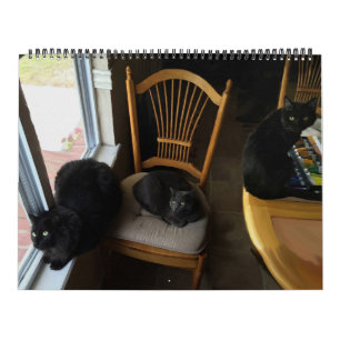 Cada dia é calendário feito sob encomenda do gato