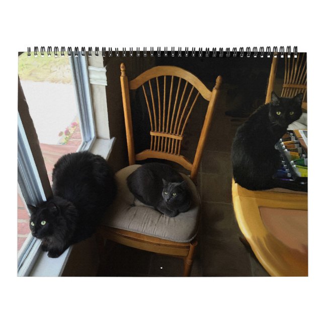 Cada dia é calendário feito sob encomenda do gato (Capa)