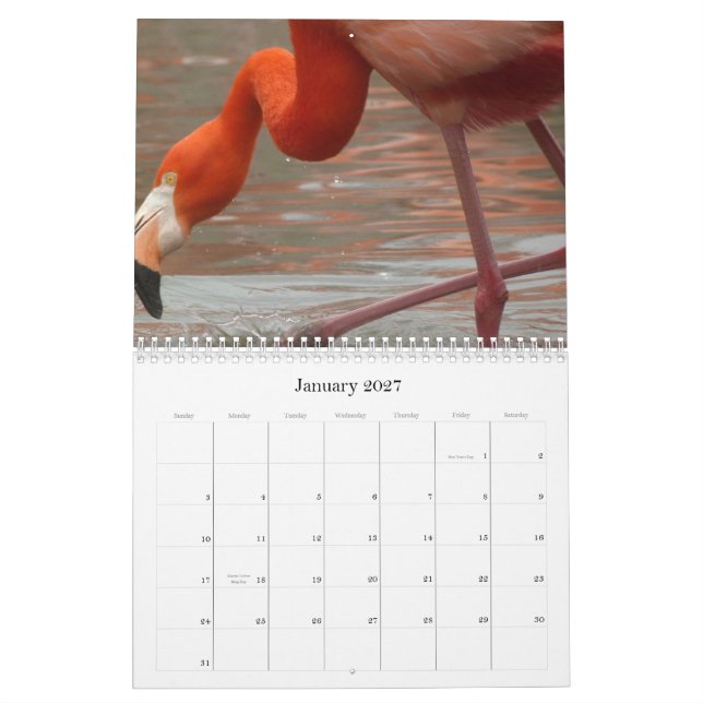 Cada dia é flamingo sexta-feira - calendário (Jan 2027)