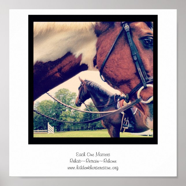 Cada um importa Poster (Frente)