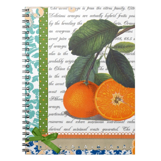 Caderno alaranjado da receita da fruta de Florida (Frente)