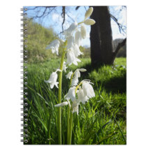 Caderno branco dos Bluebells