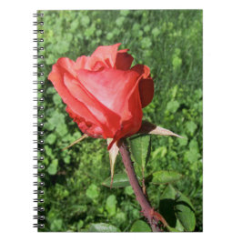 Caderno cor-de-rosa