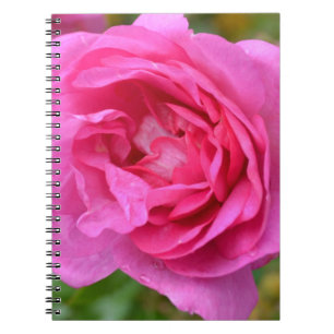 Caderno cor-de-rosa cor-de-rosa de novembro