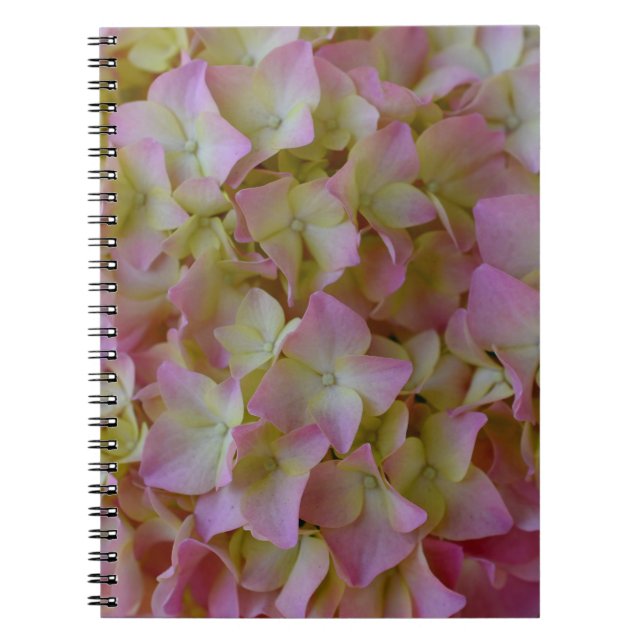 Caderno cor-de-rosa do Hydrangea (Frente)