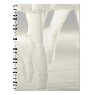Caderno da bailarina