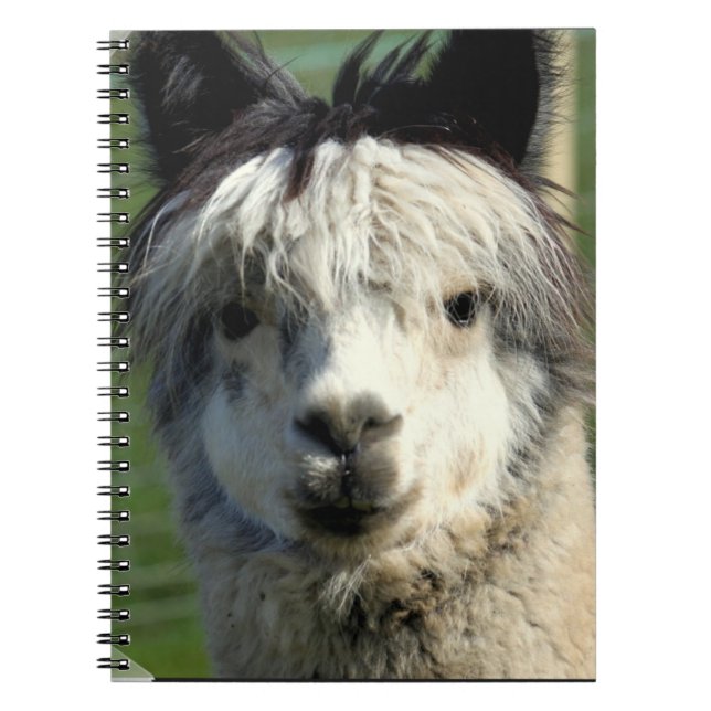Caderno da cara do lama (Frente)
