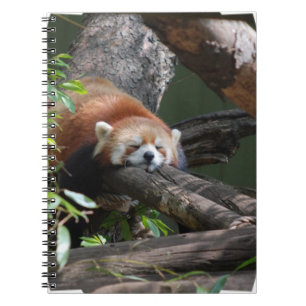 Caderno da panda vermelha do sono