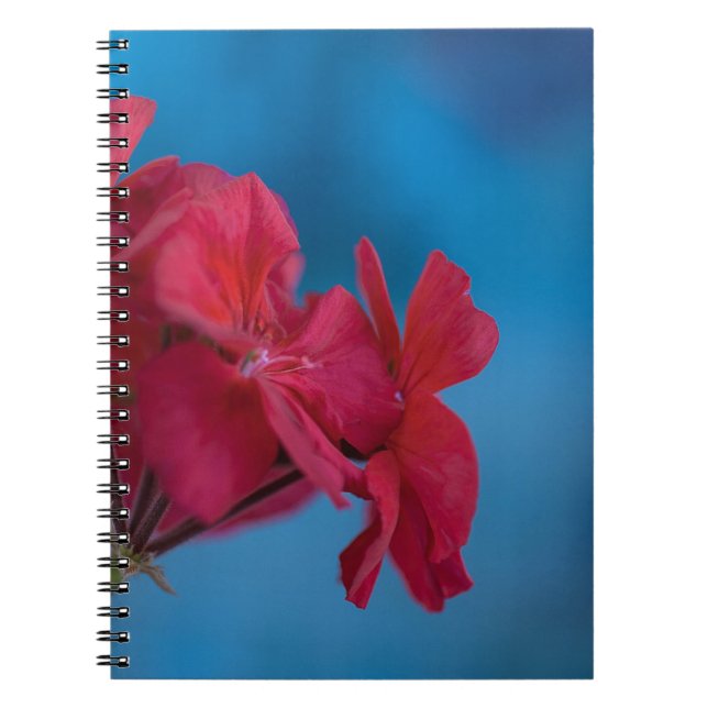 caderno de flores vermelhas (Frente)