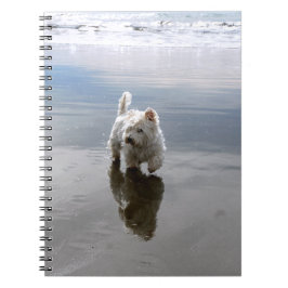 Caderno de Fotos de Reflexo do Westie na Praia