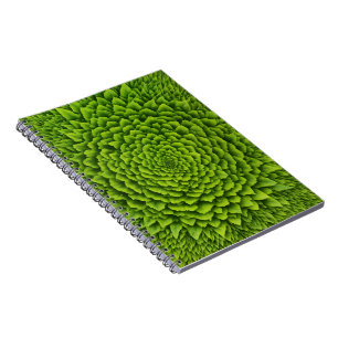 Caderno de Fotos em Espiral