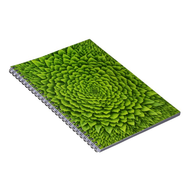 Caderno de Fotos em Espiral (Lado Direito)