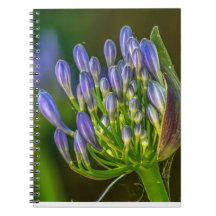 Caderno de Fotos em Espiral de Flor Roxa