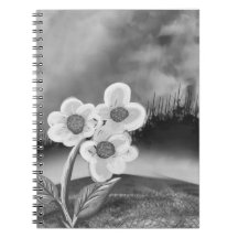Caderno de Fotos Espiral