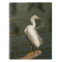 Caderno de Fotos Espiral da Garça Branca