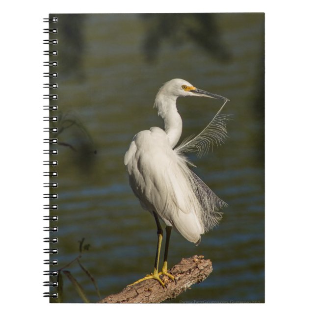Caderno de Fotos Espiral da Garça Branca (Frente)