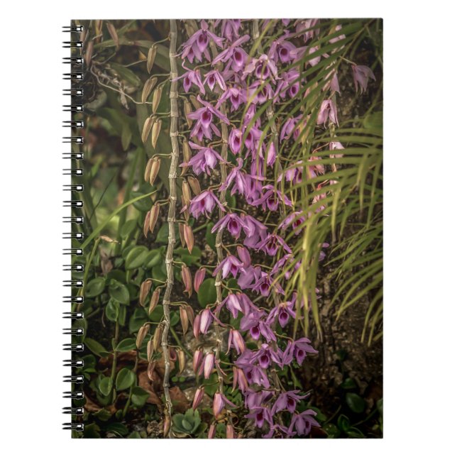 Caderno de Fotos Espiral de Orquídea (Frente)