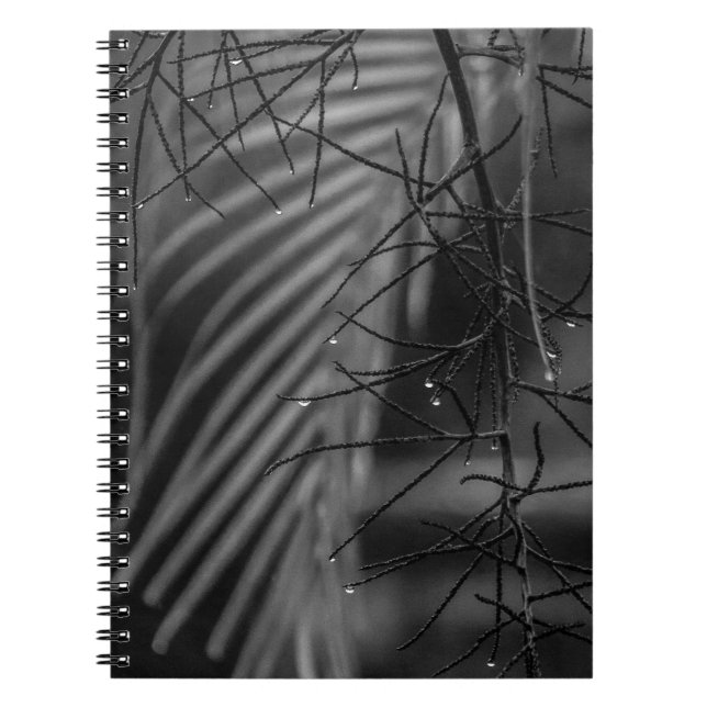 Caderno de Fotos Espiral de Palma e Chuva (Frente)