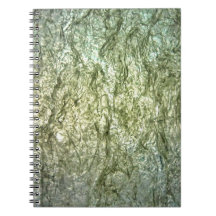 Caderno de Fotos Espiral de textura branca comum,