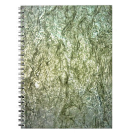 Caderno de Fotos Espiral de textura branca comum, 
