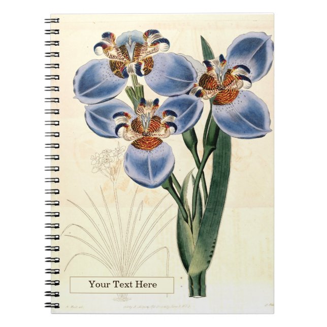 Caderno de Fotos Espiral Trimezia (Frente)