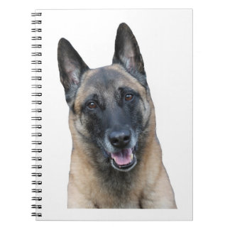 Caderno de Malinois do belga