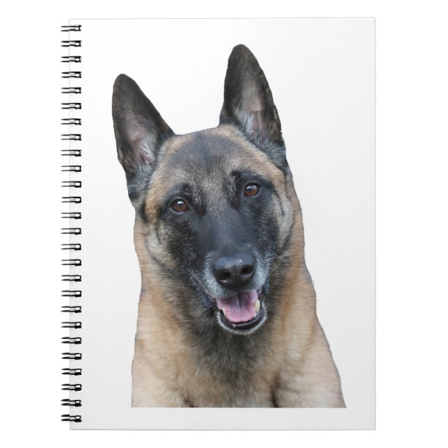 Caderno de Malinois do belga (Frente)