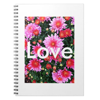 Caderno do "amor"