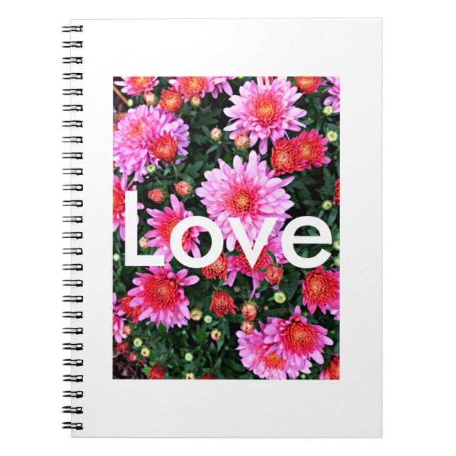 Caderno do "amor" (Frente)