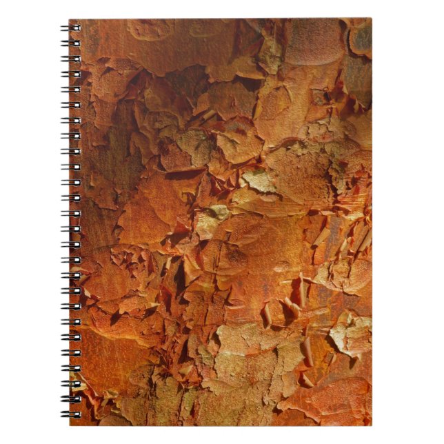 Caderno do bordo de Paperbark (Frente)