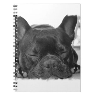 Caderno do buldogue francês
