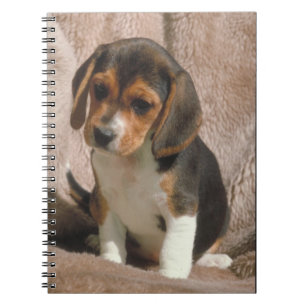 Caderno do filhote de cachorro do lebreiro