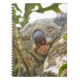 Caderno do Koala