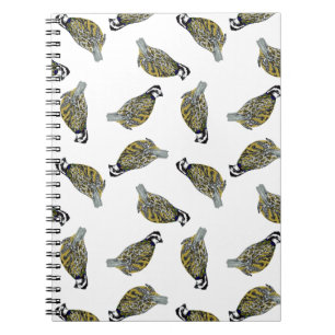 Caderno do lance da codorniz