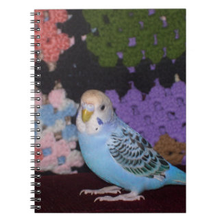 Caderno do Parakeet