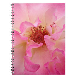 Caderno do rosa do rosa