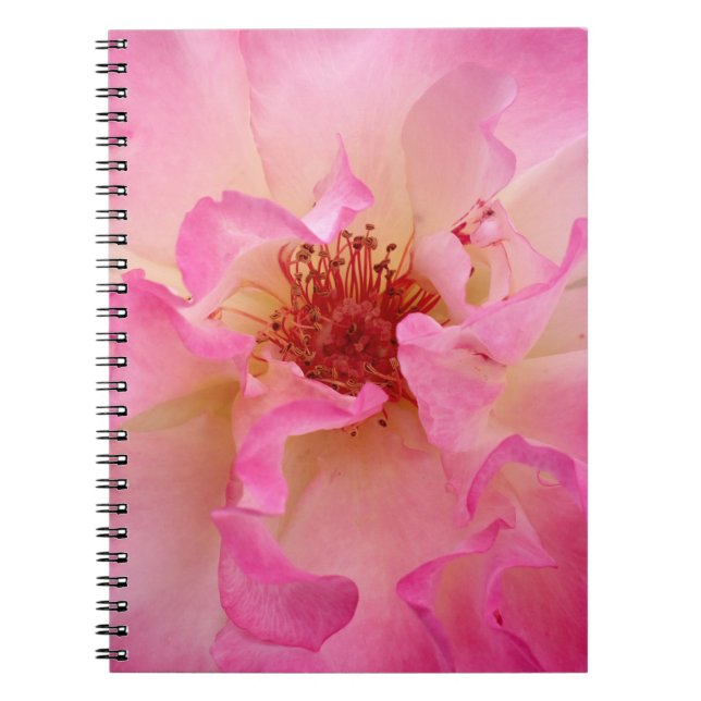 Caderno do rosa do rosa (Frente)